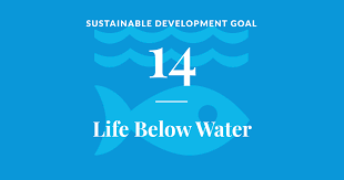 Dive Deep into Action: Saving Our Oceans with SDG 14