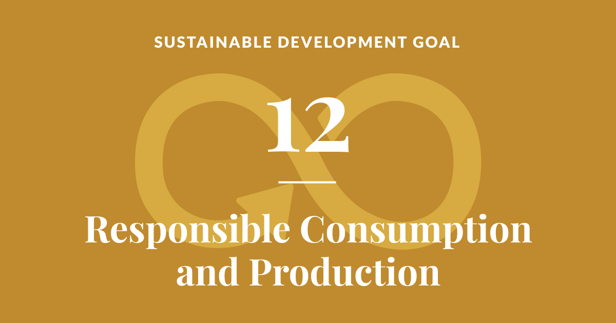 Sustainable Shopping Spree: How to Slay Your Style and Save the Planet with SDG 12