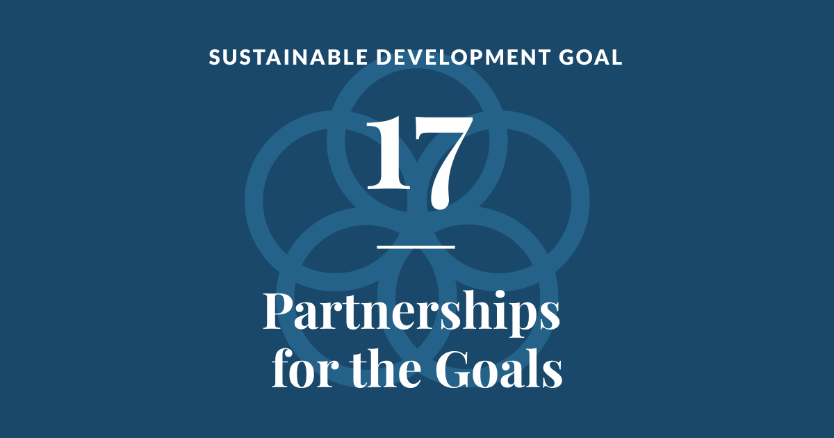 The Superpower We All Have: Unleashing SDG 17 for a Stronger, Fairer Future